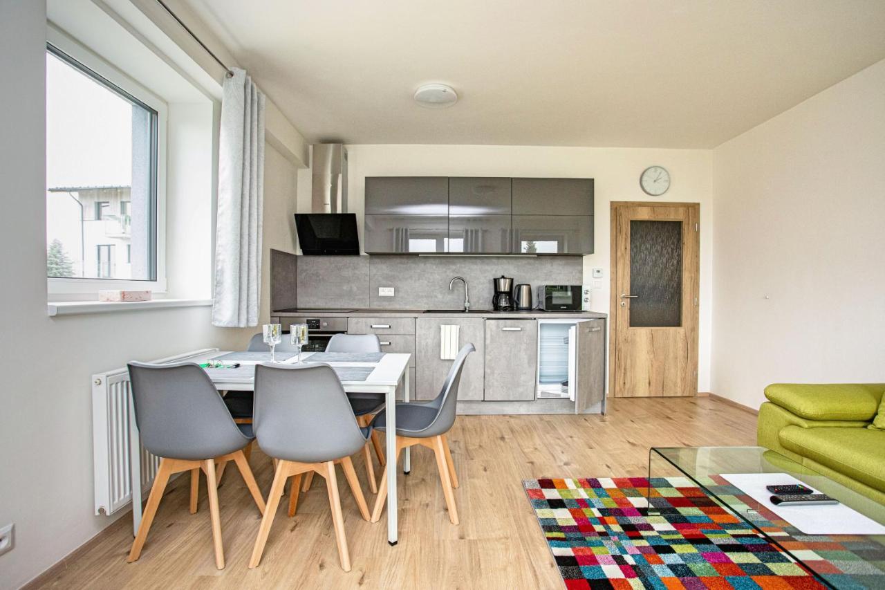 Green Apartment Klinovec By Mountain Ways Loučná pod Klínovcem Bagian luar foto