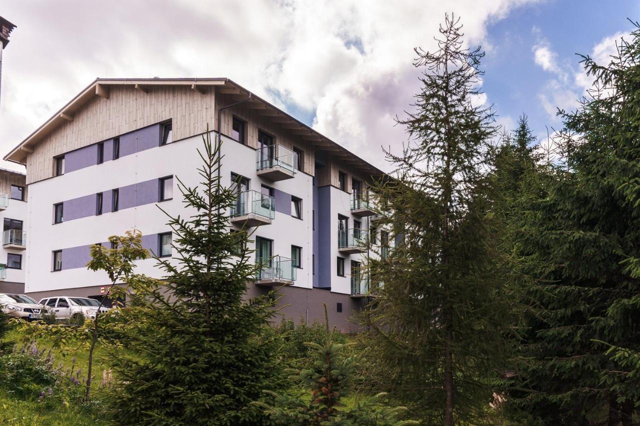Green Apartment Klinovec By Mountain Ways Loučná pod Klínovcem Bagian luar foto