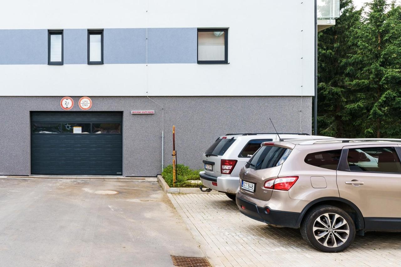 Green Apartment Klinovec By Mountain Ways Loučná pod Klínovcem Bagian luar foto
